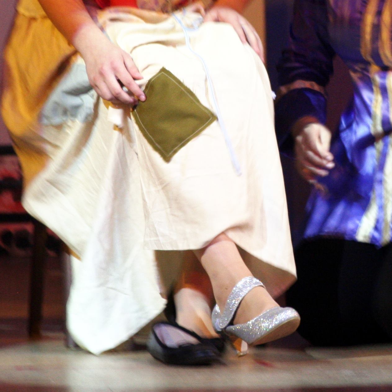 Cinderella's Shoe